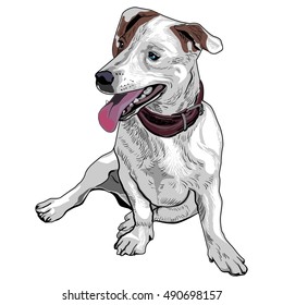 Puppy sitting. Vector drawing.