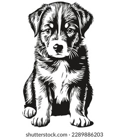 puppy sketches, outline with transparent background, hand drawn illustration puppies
