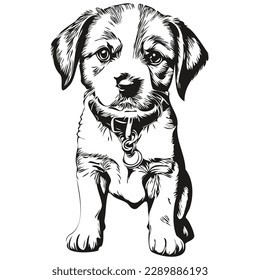 puppy sketchy, graphic portrait of a puppy on a white background, puppies
