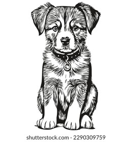 puppy sketchy, graphic portrait of a puppy on a white background, puppies
