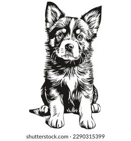 puppy sketchy, graphic portrait of a puppy on a white background, puppies