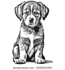 puppy sketchy, graphic portrait of a puppy on a white background, puppies