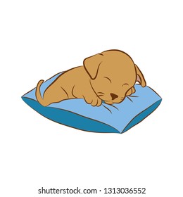 puppy sleeping on a pillow 
