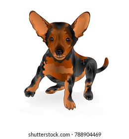 Puppy small happy  brown terrier vector illustration editable hand draw 