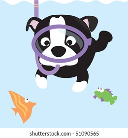 Puppy snorkeling