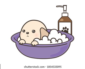 El cachorro bañándose. Baño de burbujas.