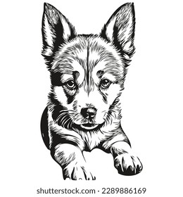 puppy vector illustration line art drawing black and white puppies
