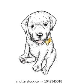 Puppy. Vector illustration for a postcard or a poster, print for clothes. Cute dog. Labrador. Clothes and accessories.