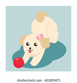 Puppy Want To play