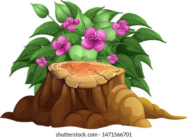 Puprple lily flowers with leaves illustration