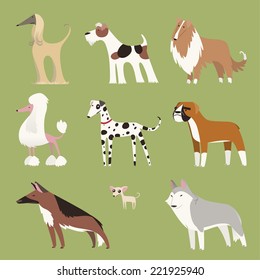 Pure breed dog exhibition canine puppy whelp pet collection, with nine dogs of different breeds standing looking at camera vector illustration. 