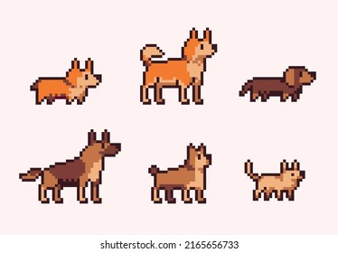 Pure breed dogs pixel art set. Different types of canine collection. 8 bit sprite. Game development, mobile app.  Isolated vector illustration.