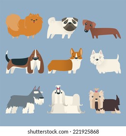 Pure Breed Exhibition Dog  vector illustration cartoon collection