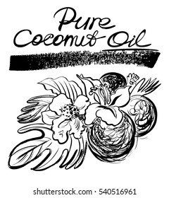 Pure coconut oil. Hand drawn graphic illustration. Sketchy style.