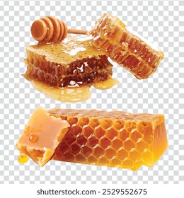 Pure honey on transparent background
