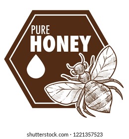 Pure honey poster with bee monochrome sketch outline vector, logo of apiculture insect giving natural organic product with sweet taste. Drop of bio nectar produced by wasp, beekeeping drawing