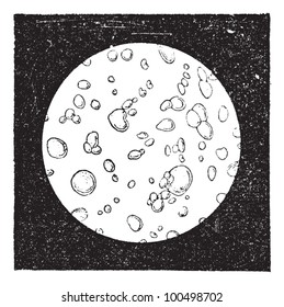 Pure milk seen under a microscope, vintage engraved illustration. Dictionary of words and things - Larive and Fleury - 1895.