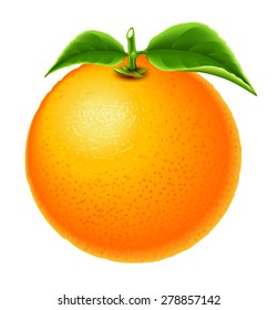 Pure orange with green branch and leaves on the white background