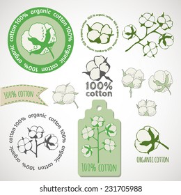 Pure Organic cotton labels.  Hand drawn sketch of cotton plant. Vector illustration.