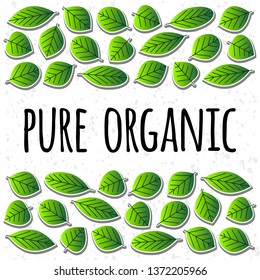 Pure organic phrase and vector leaves illustration set. Ecology, environment, botany vector elements