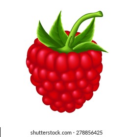 Pure red raspberry with green branch on the white background