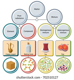 Pure substances and mixtures diagram. Educational chemistry for kids. Cartoon style vector illustration.