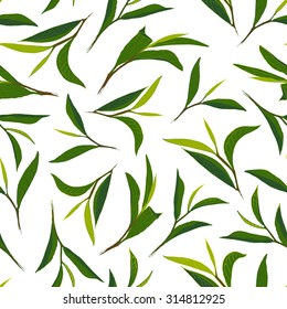 Pure tea. Botanical style seamless pattern