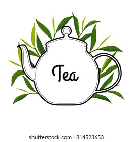 Pure tea with kettle. Botanical style vector illustration.