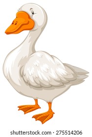 Pure white goose with yellow beak and feet