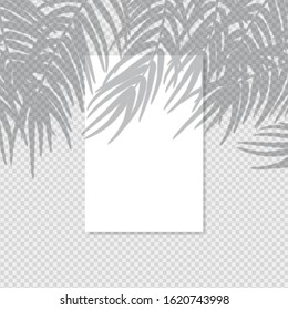 Pure white vertical poster with shadow overlay. Transparent shadow effect from a palm tree branch and a window. Editable vector illustration on a transparent background. Use for mockup.