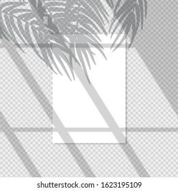 Pure white vertical poster with shadow overlay. Transparent shadow effect from a palm tree branch and a window. Editable vector illustration on a transparent background. Use for mockup.