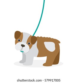 Purebred american bulldog puppy on a leash. flat vector illustration isolate on a white background