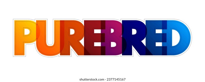 Purebred - criado por miembros de una raza, cepa o clase reconocida sin mezcla de otra sangre a lo largo de muchas generaciones, colorido fondo de concepto de texto