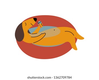 Purebred Brown Dachshund Dog Floating on Inflatable Inner Ring, Funny Playful Pet Animal Cartoon Character Vector Illustration