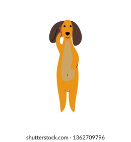 Purebred Brown Dachshund Dog Talking on Phone, Funny Playful Pet Animal Cartoon Character Vector Illustration