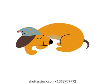 Purebred Brown Dachshund Dog Wearing Cap Sleeping, Funny Playful Pet Animal Cartoon Character Vector Illustration