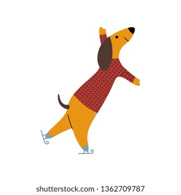 Purebred Brown Dachshund Dog Wearing Knitted Sweater Ice Skating, Funny Playful Pet Animal Cartoon Character Vector Illustration