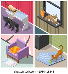 Purebred cats in home interior during sleep, rest, playing and eating isometric design concept isolated vector illustration