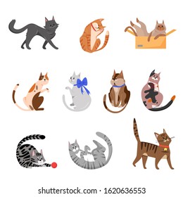 Purebred cats, playful pets vector illustrations set. Cute mammals, thoroughbred cartoon animals collection. Domestic pedigreed kittens with collars and bows pack isolated on white background