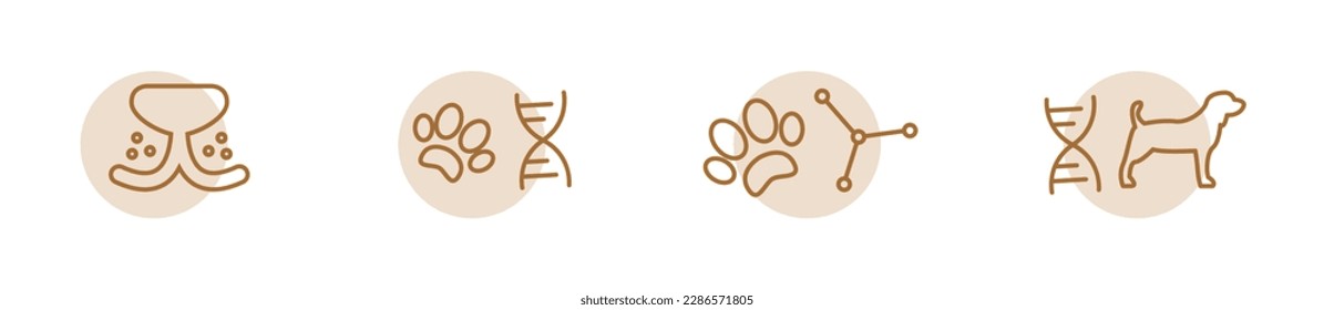 Purebred dog modern icon set, pet breeding concept, breed dna vector icons, dogs genes emblems, paws symbols isolated on white background