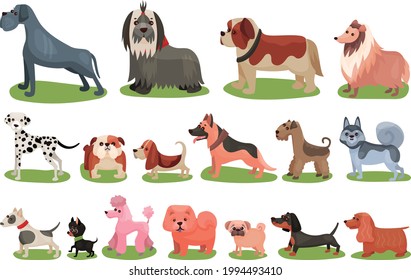 Purebred Dogs or Canine with Chow-chow and Pugdog Standing on Green Lawn Vector Set