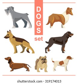 purebred dogs set