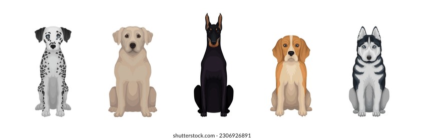 Purebred Dogs Sitting on Hind Legs Vector Set