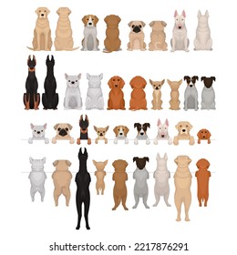 Purebred Dogs Sitting and Standing on Hind Legs Vector Big Set