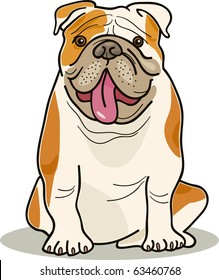 purebred english bulldog