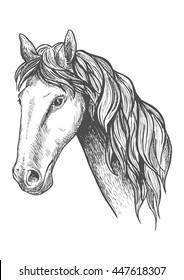 Realistic Head Gray Horse Vector Black Stock Vector (Royalty Free ...