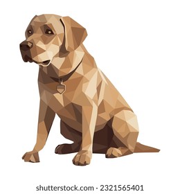 Purebred retriever sitting over white