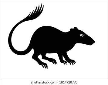Purgatorius - extinct prehistoric primate - ancestor of apes and humans - silhouette stock illustration for logo or pictogram. Purgatorius is a fossil animal - the ancestor of man. Evolution of primat