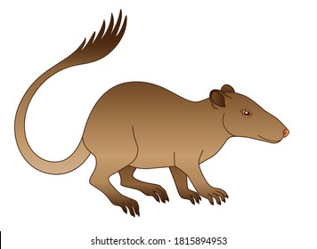 Purgatorius - extinct prehistoric primate - ancestor of apes and humans - full color stock illustration. Purgatorius is a fossil animal - the ancestor of man. Evolution of primates.