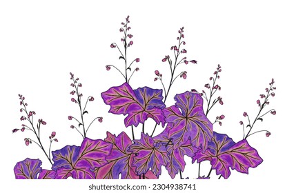 Purle leaves flowering plant vector illustration in watercolor style. Blue violet leaves garden plant, small flowers inflorescence raceme. 